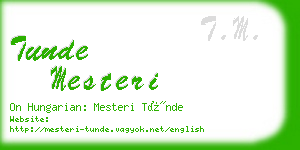 tunde mesteri business card